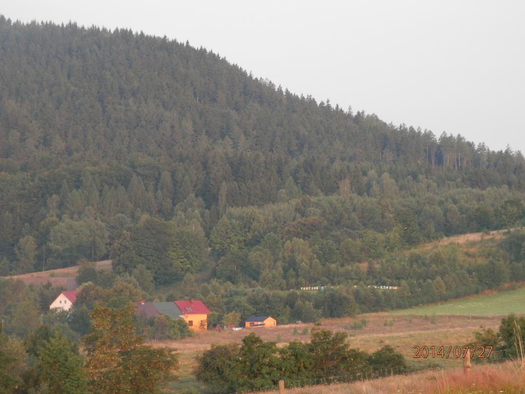Zagroda Agroturystyczna Wiecha Mieroszow Eksteriør bilde